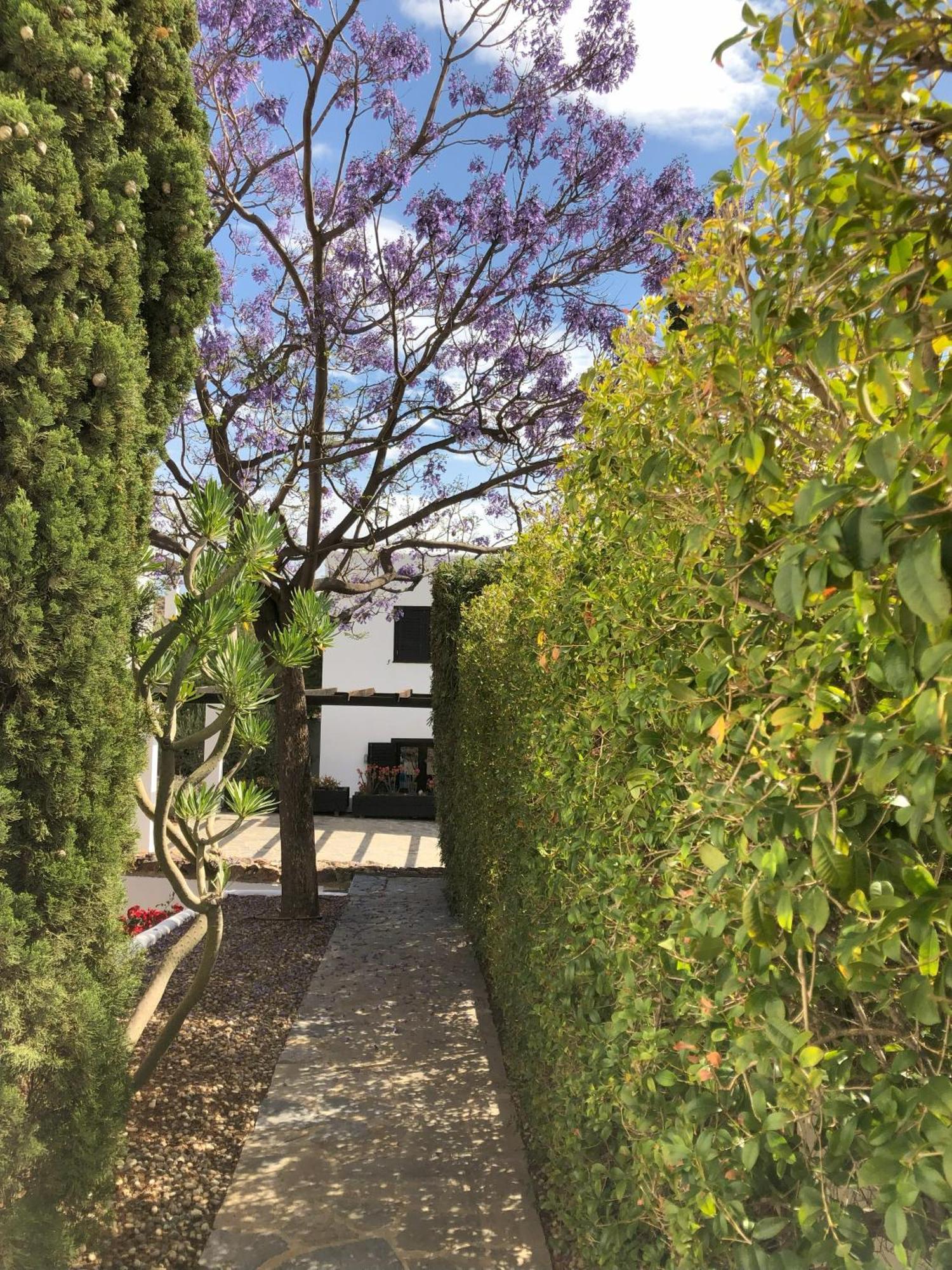 Las Taladillas Las Negras Exterior photo
